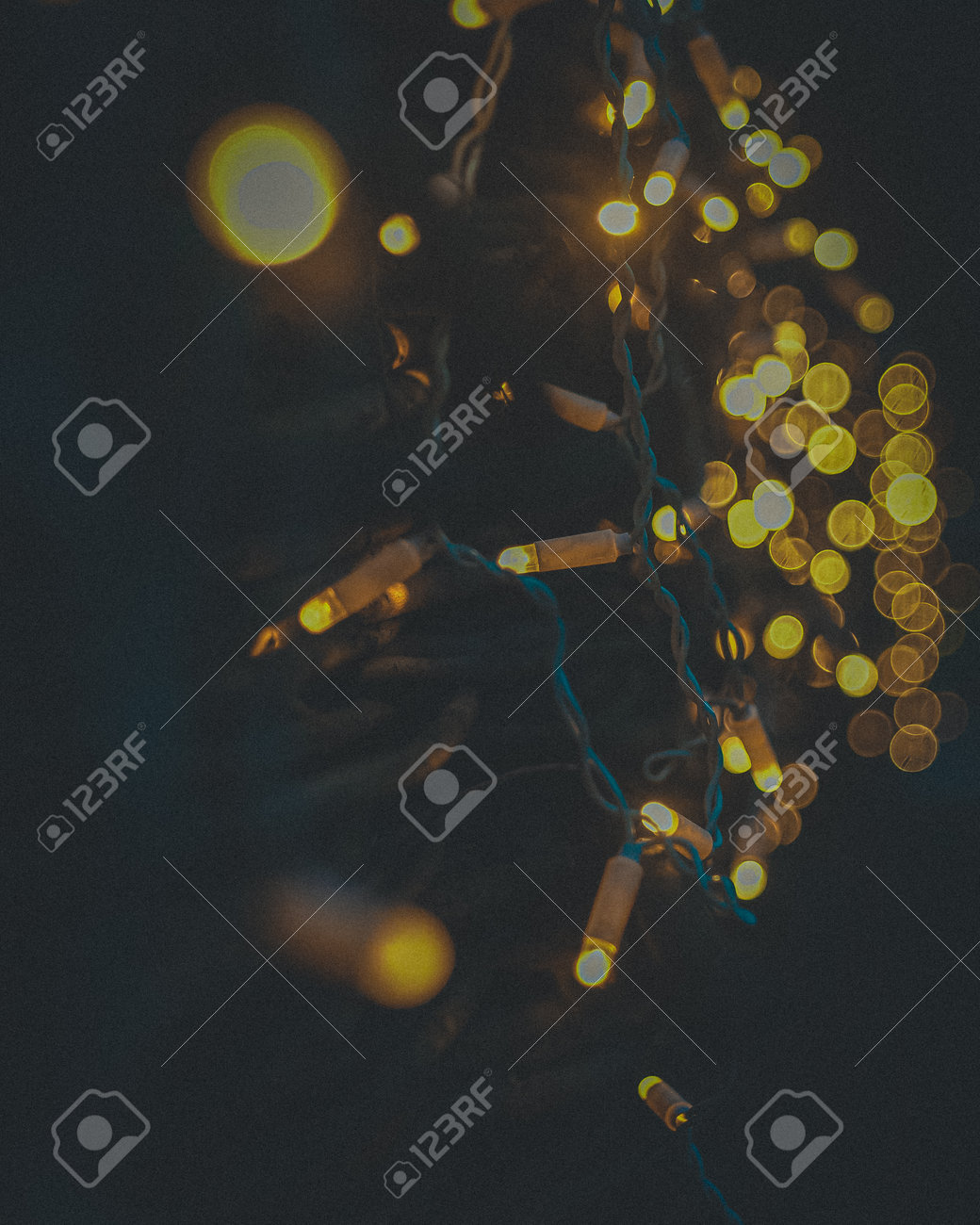 etiam-dictum-ipsum-a-felis