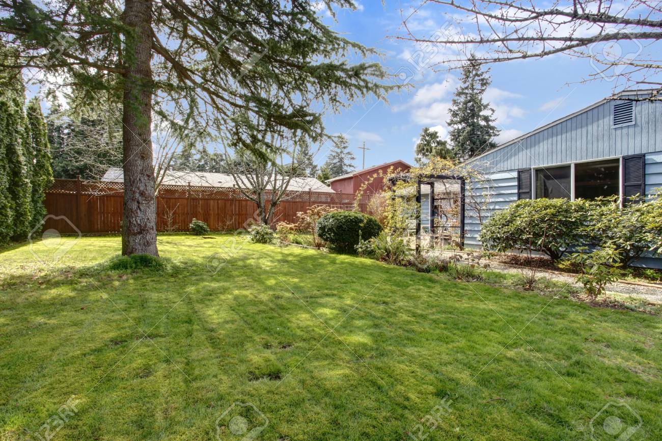 Blue Siding House With Big Backyard With Green Lawn And Fir Tree
