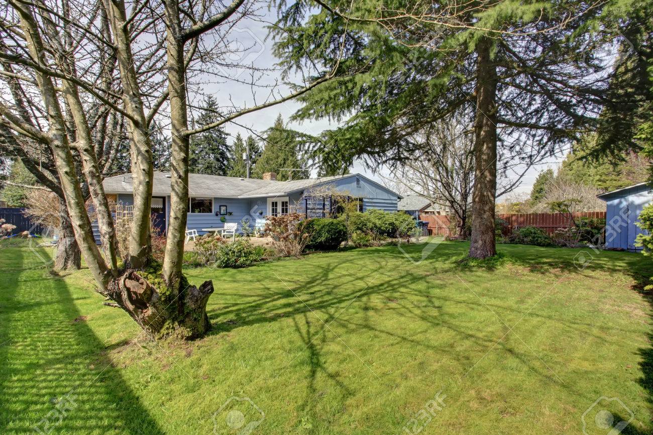 Blue Siding House With Big Backyard With Green Lawn And Fir Tree