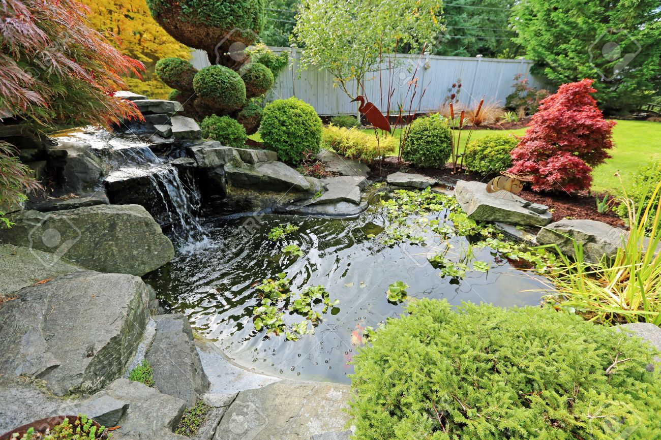 Tropical Landscape Design On Backyard View Of Small Pond Trimmed