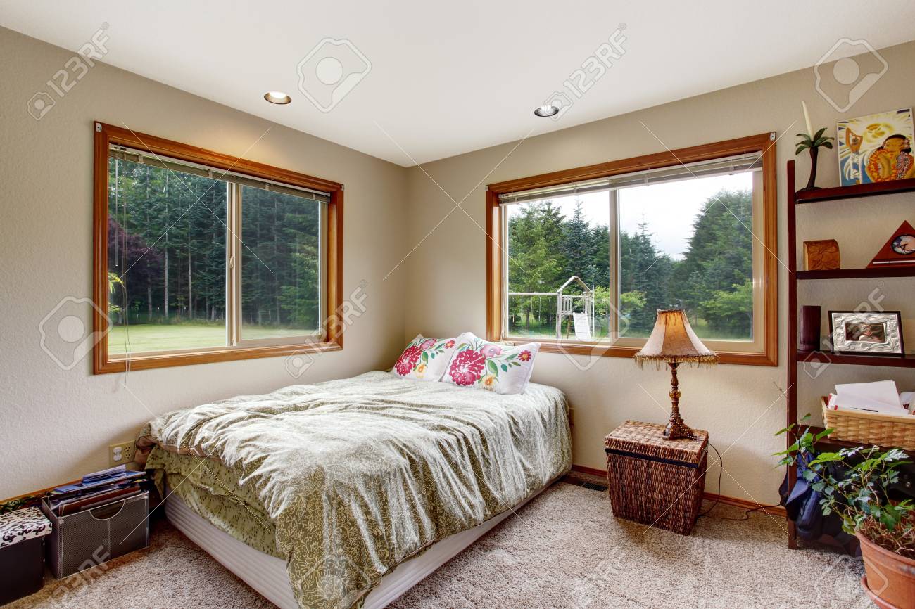 Nice Bedroom Interior With Carpet Floor And Two Windows Small