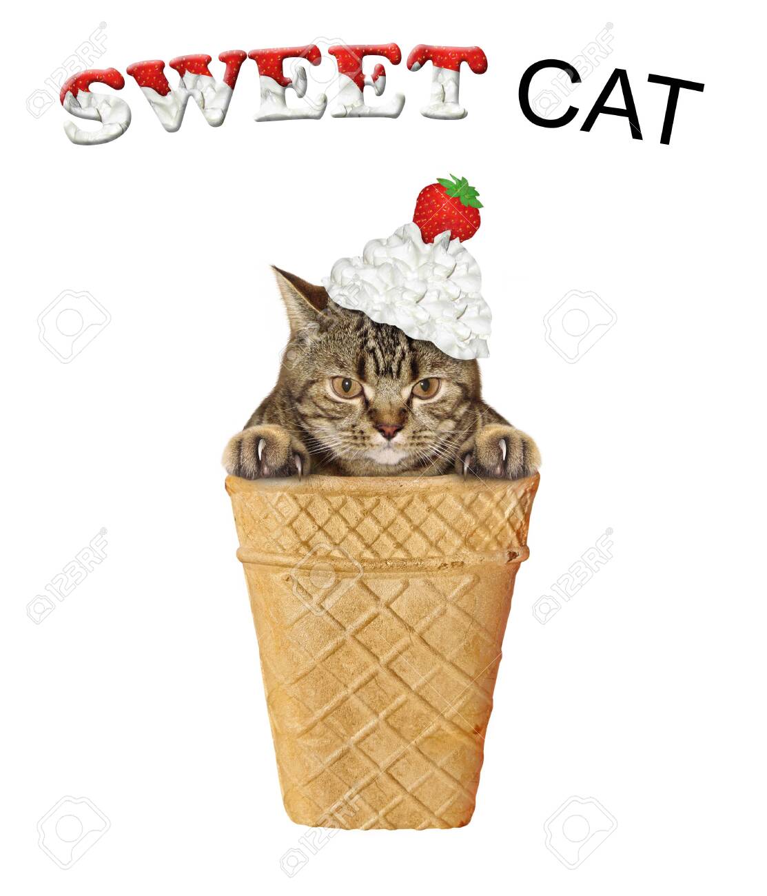 The Beige Cat With Whipped Cream And A Strawberry On Its Head Stock Photo Picture And Royalty Free Image Image 154790620