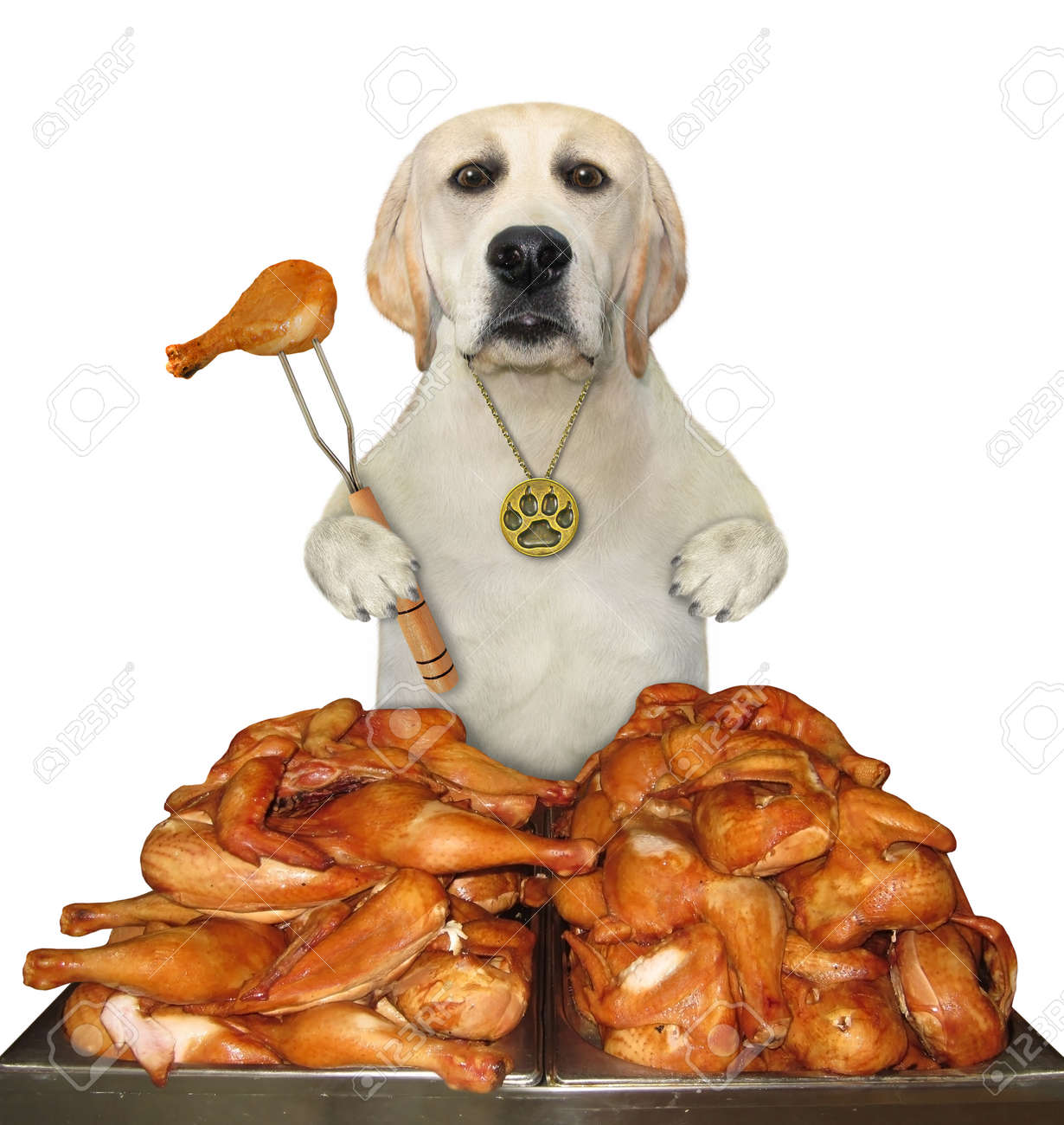 is chicken leg good for dogs