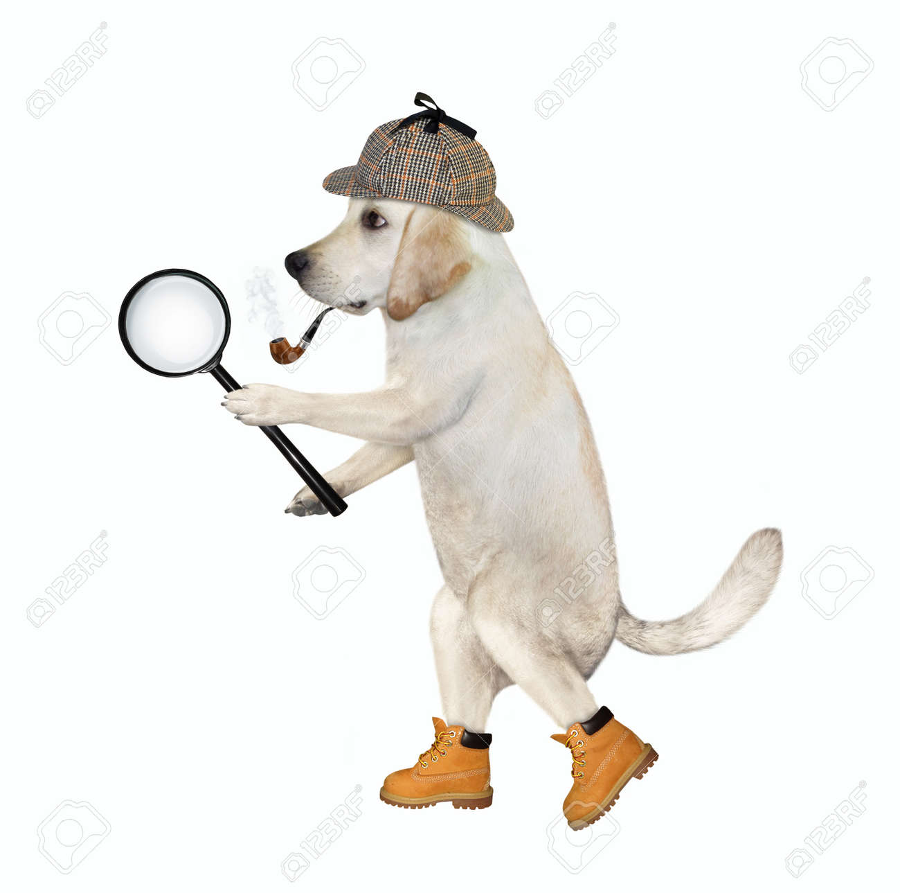 dog detective hat