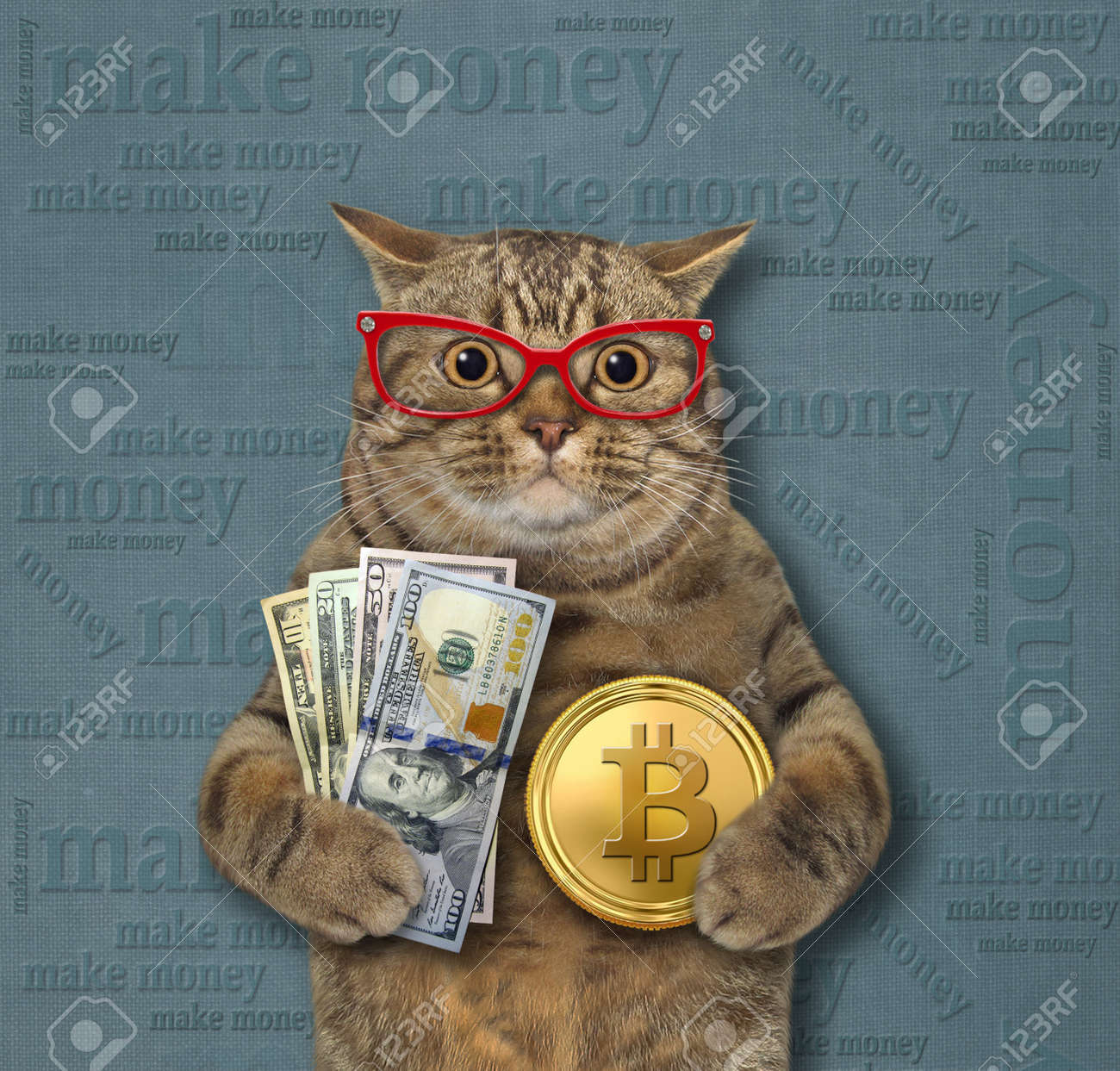 Eine Beige Katze In Gläsern Hält Einen Dollarfächer Und Eine Goldene Bitcoin.  Geld Verdienen. Grüner Hintergrund. Lizenzfreie Fotos, Bilder und Stock  Fotografie. Image 173991103.
