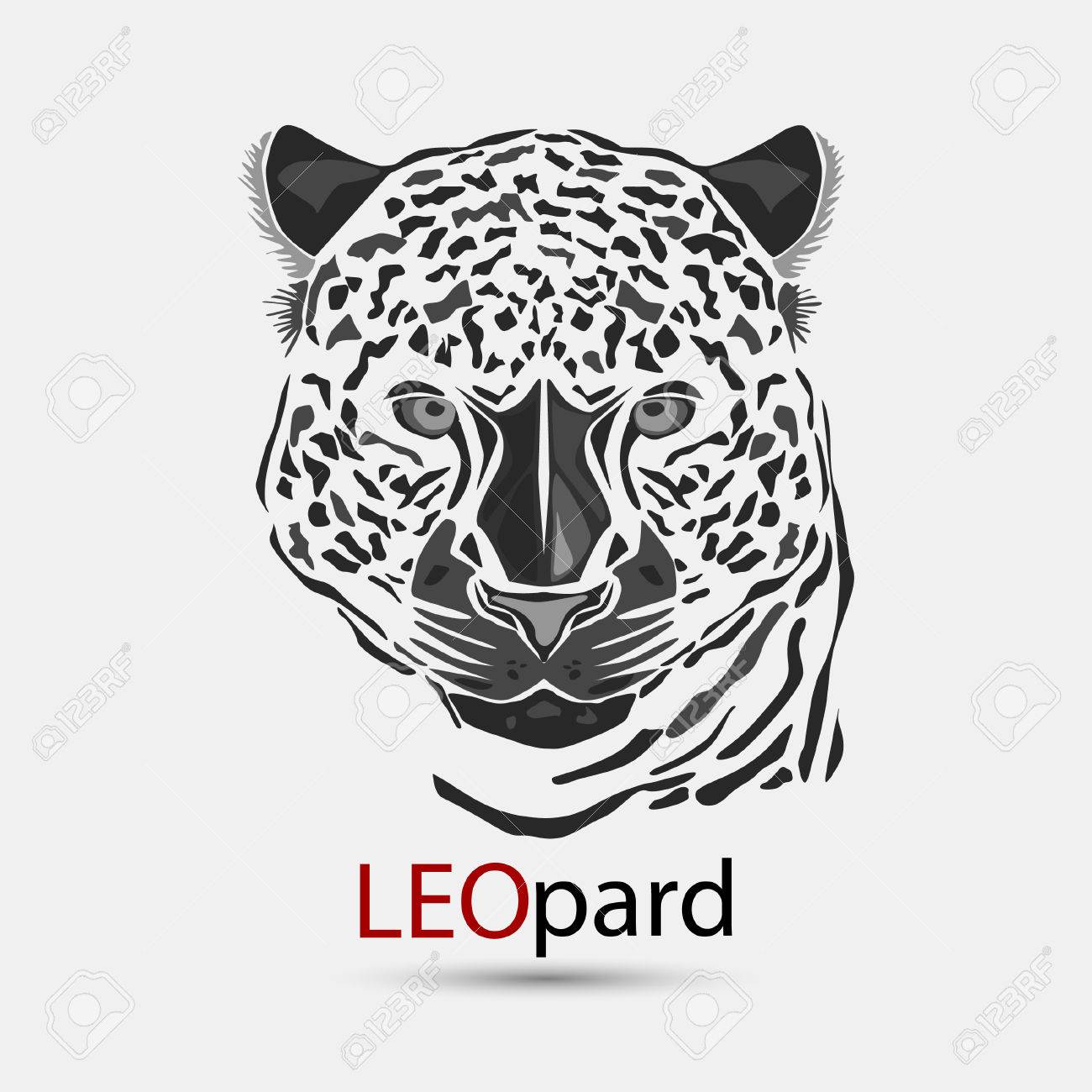 図では 白い背景で隔離豹頭 のイラスト素材 ベクタ Image