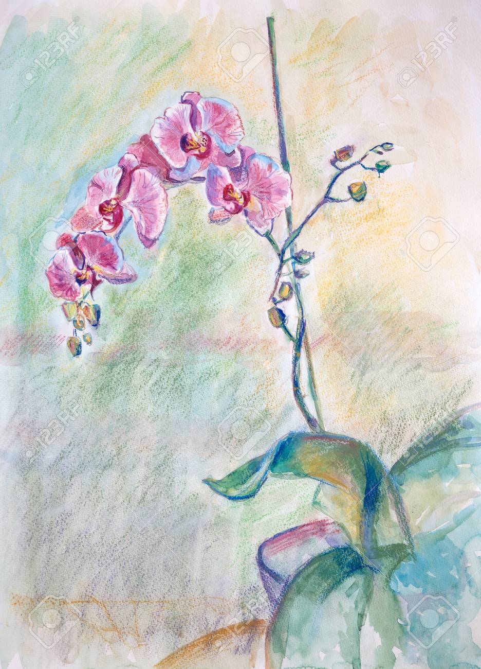 Dessin Aquarelle Et Pastel Sec Sur Papier Nature Morte Aux Orchidées Doucement Roses
