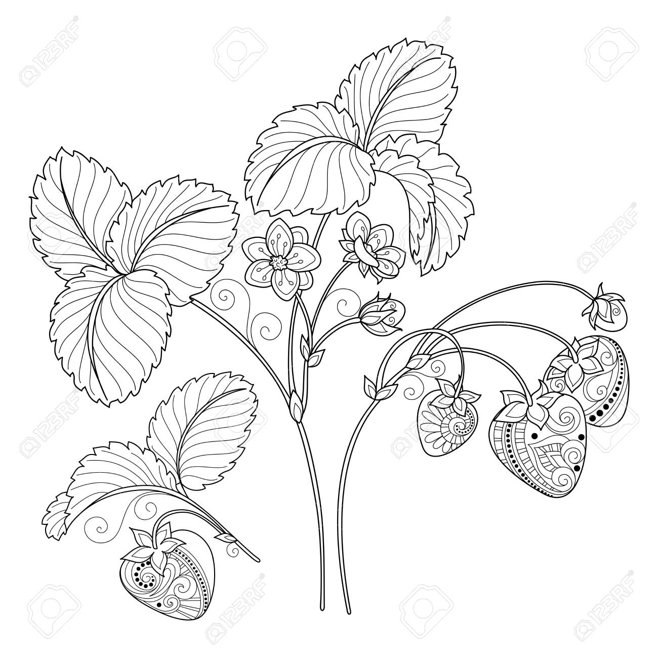 ベクトル モノクロ フルーツ コレクション 手描きの装飾いちごセット のイラスト素材 ベクタ Image