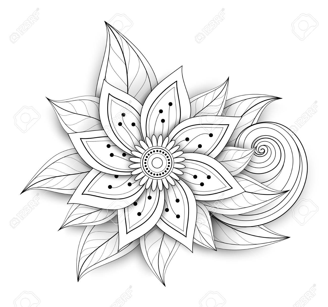 Hd限定花 イラスト 白黒 リアル スーパーイラストコレクション