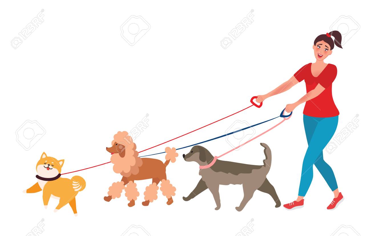 dog walker leash multiple dogs