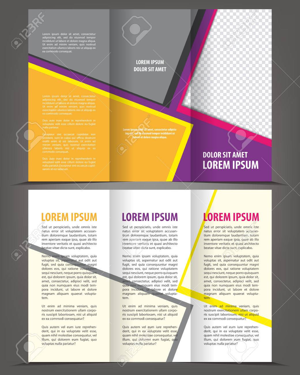 vector empty trifold brochure