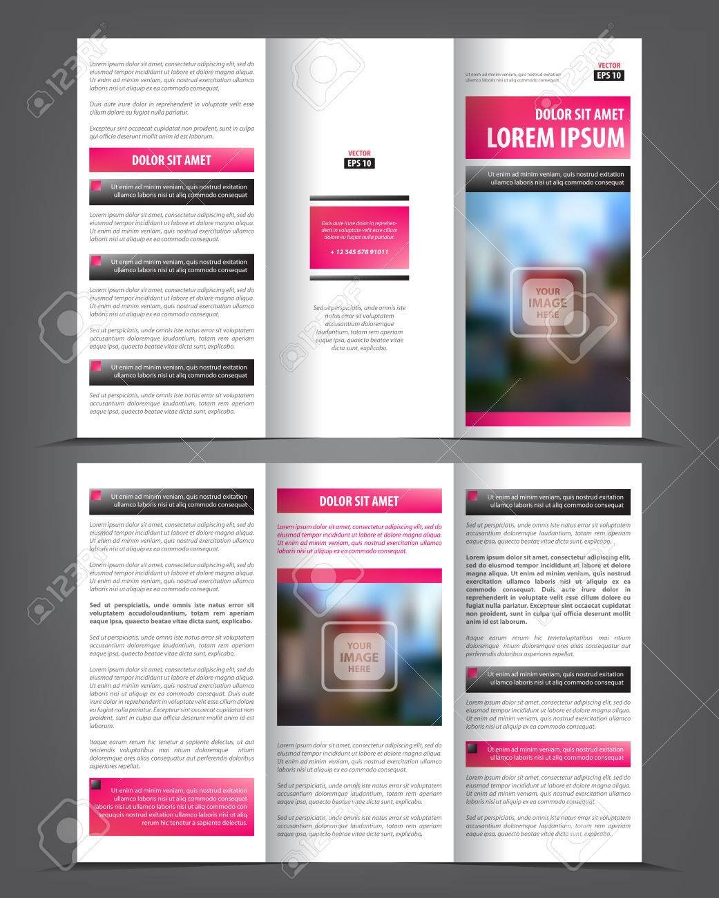vector tri fold brochure template design concept business leaflet