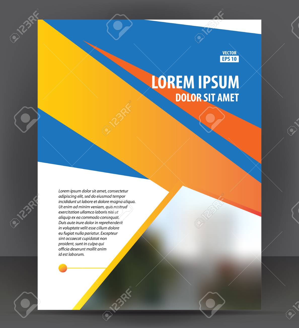 brochure cover layout design print template pamphlet vector