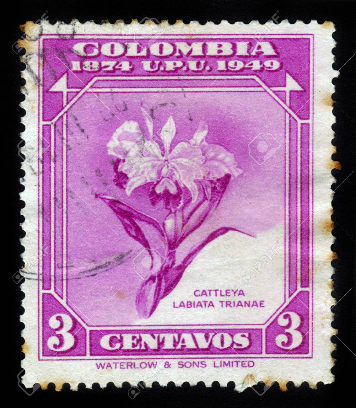 Colombia Circa 1950 Stamp Printed By Colombia Shows Flower