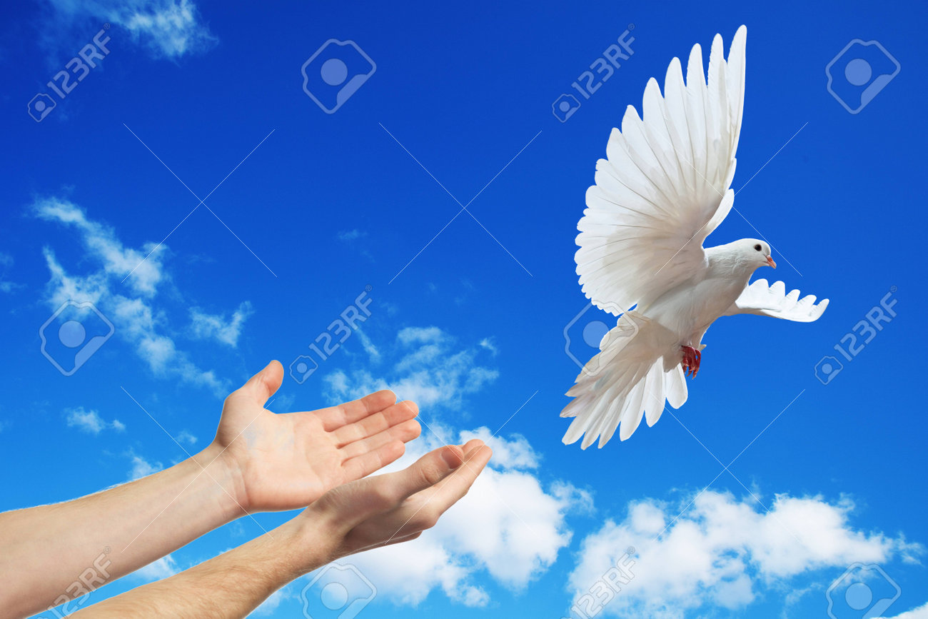 hands released into the