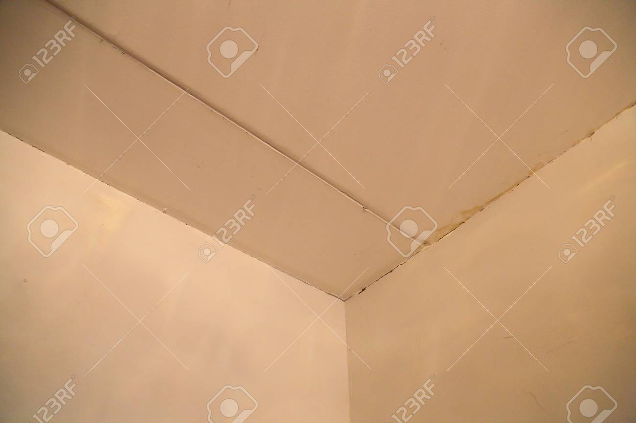 Old Walls And Ceiling In The Cracks Before Overhaul In Living