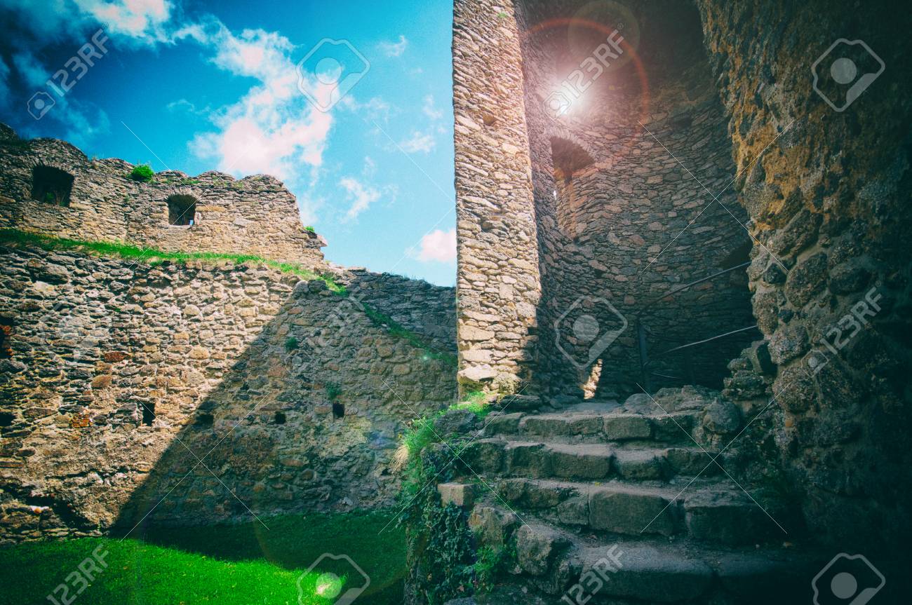 etiam-dictum-ipsum-a-felis