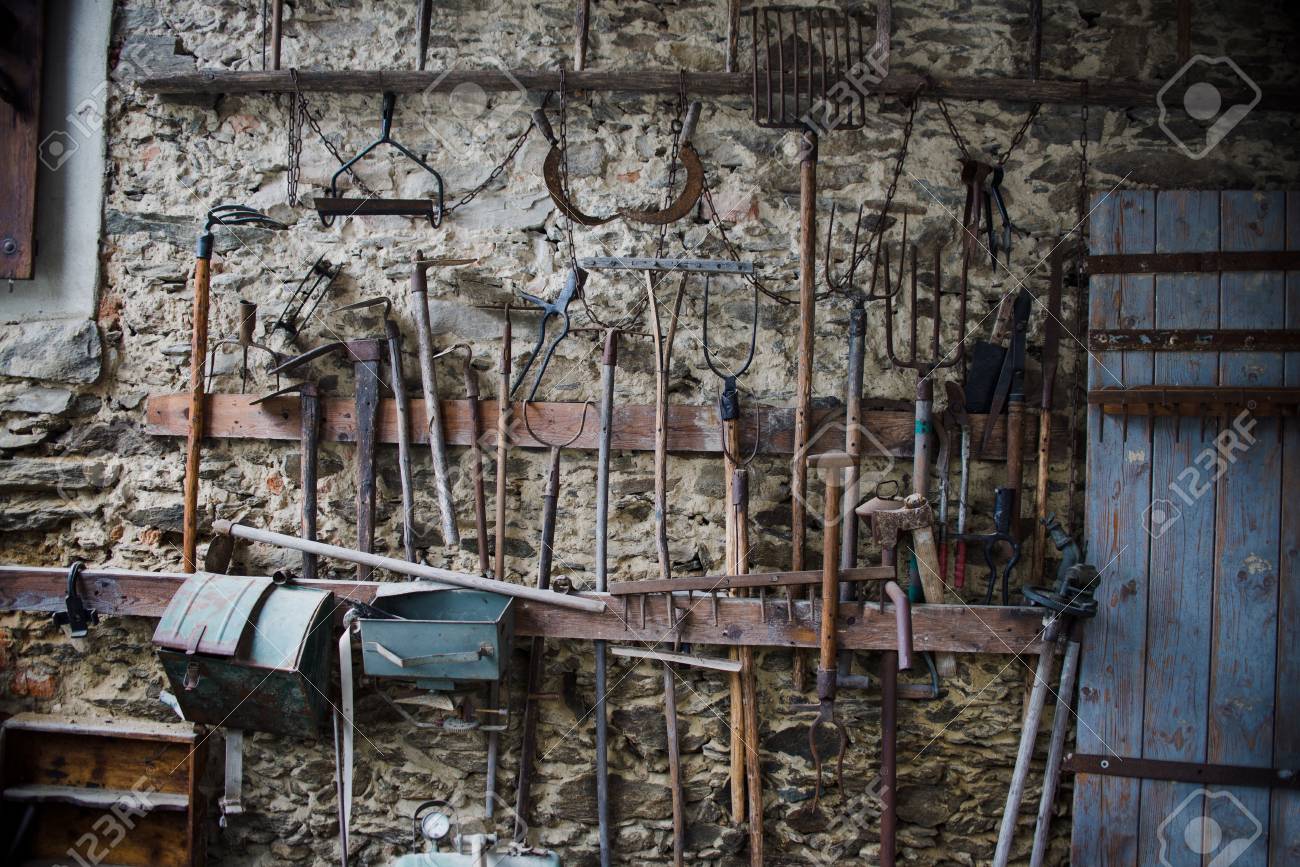 etiam-dictum-ipsum-a-felis