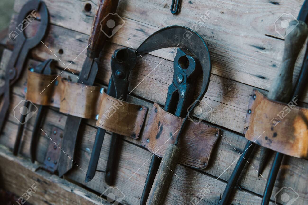 etiam-dictum-ipsum-a-felis