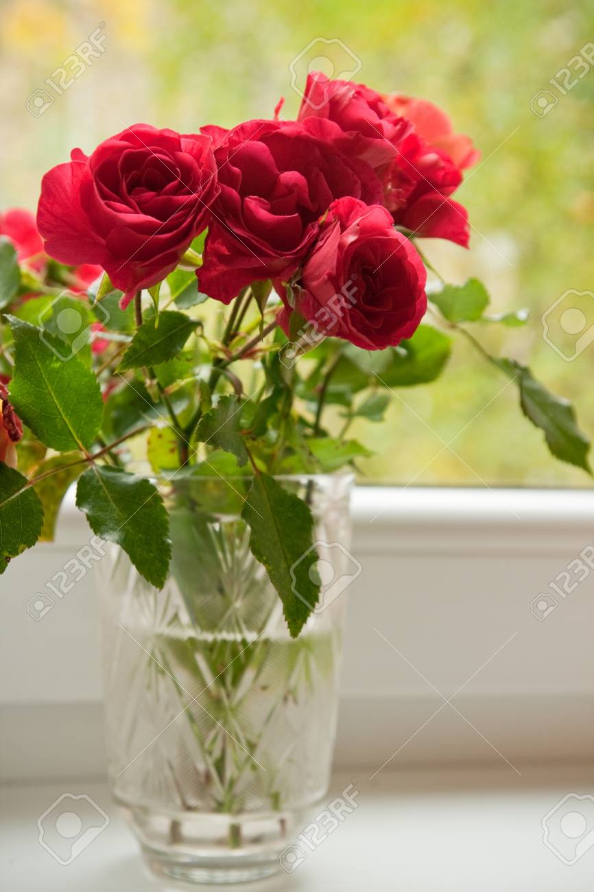 Bouquet Of Red Roses In A Crystal Vase In The Window Stock Photo