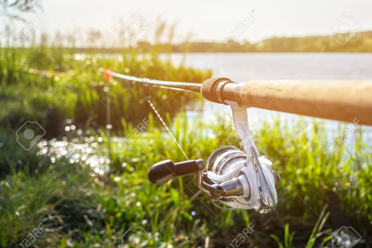 river bank rod holders