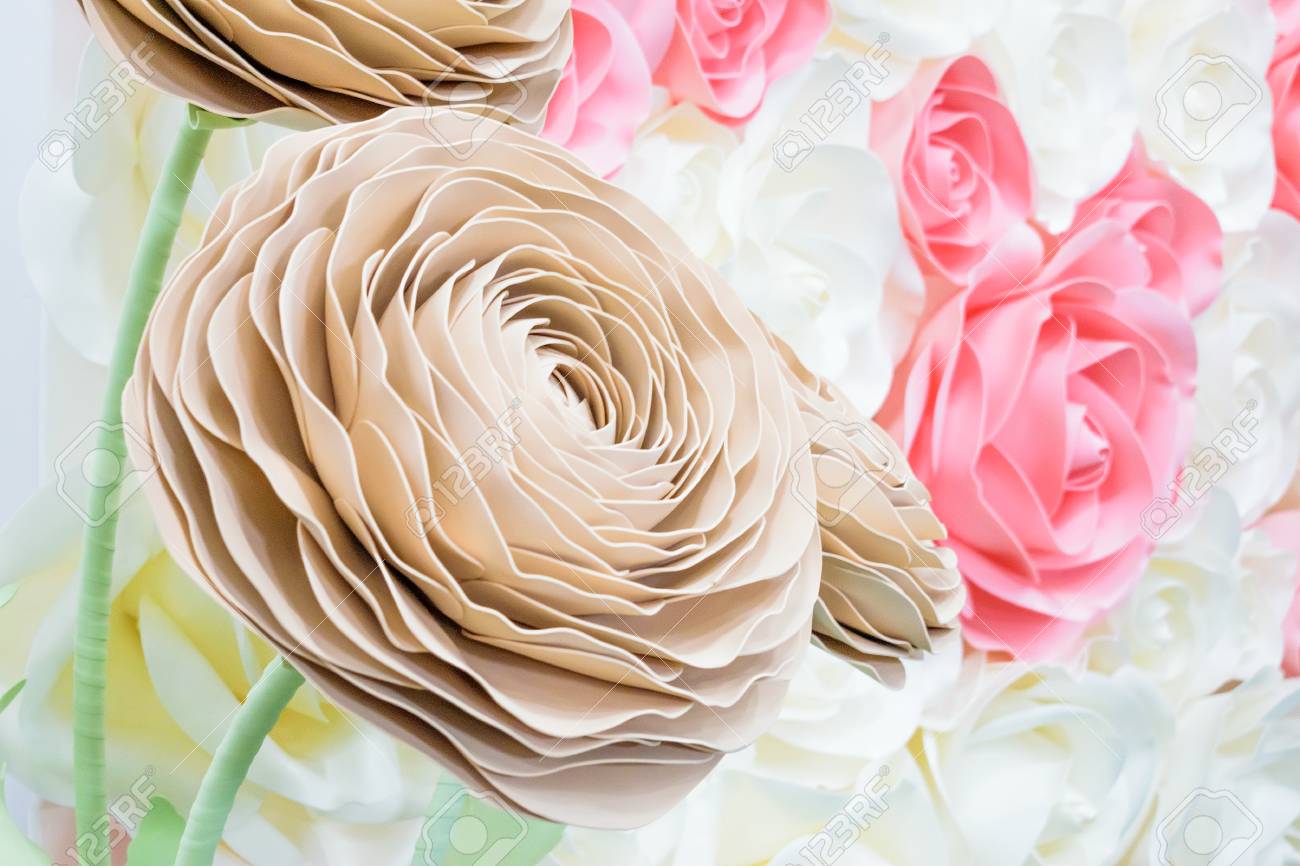 large giant paper flowers big pink white beige rose peony giant paper flower