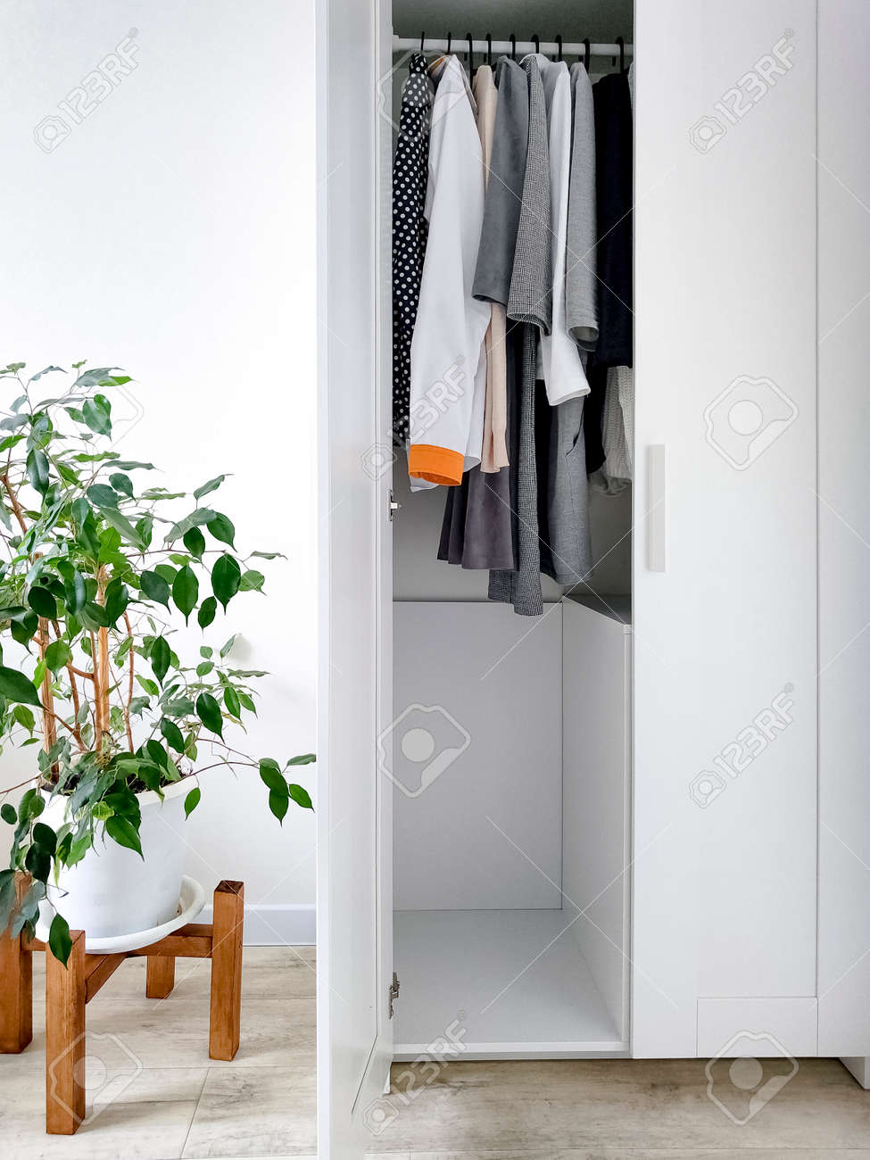 etiam-dictum-ipsum-a-felis