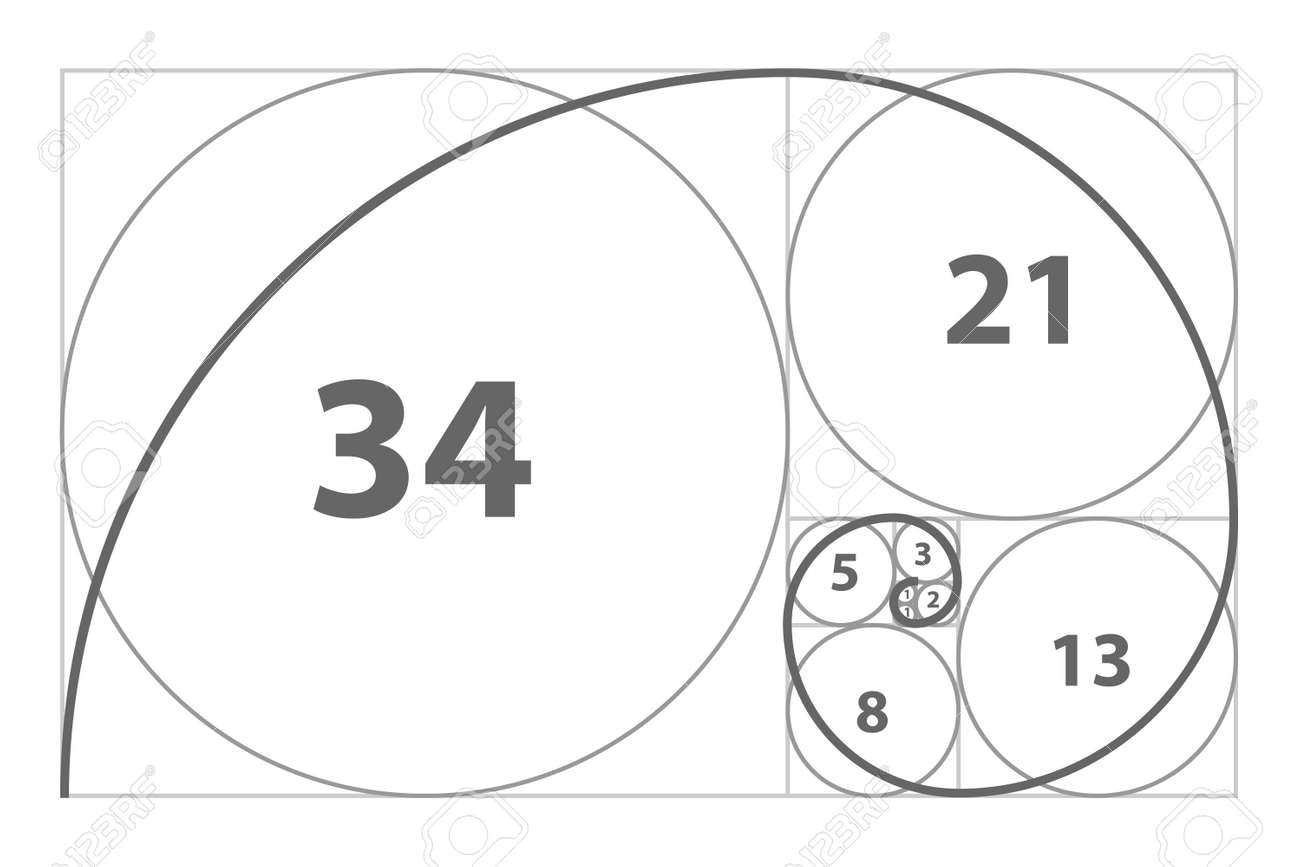 Fibonacci Sequence Of Circles. Golden Ratio Spiral 免版税剪贴画，向量插图和库存图片. Image  188027016