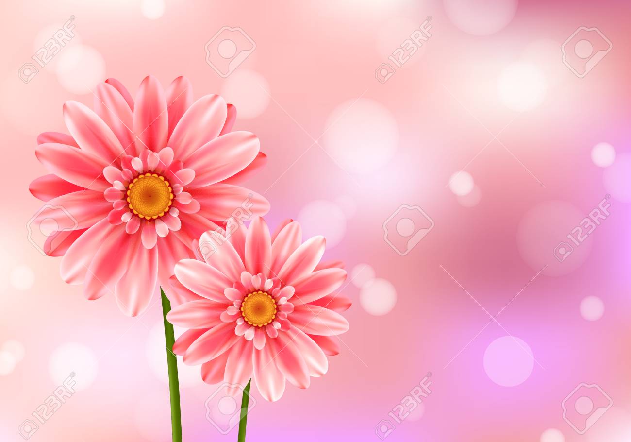 Gerbera Flower On Bright Pink Background. Royalty Free SVG, Cliparts,  Vectors, and Stock Illustration. Image 94030336., image size:1300x910