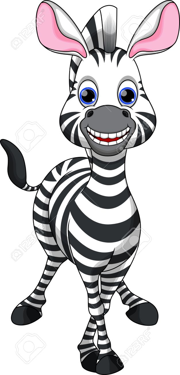 Funny Zebra Cartoon Royalty Free Cliparts Vectors And Stock Illustration Image 27898626