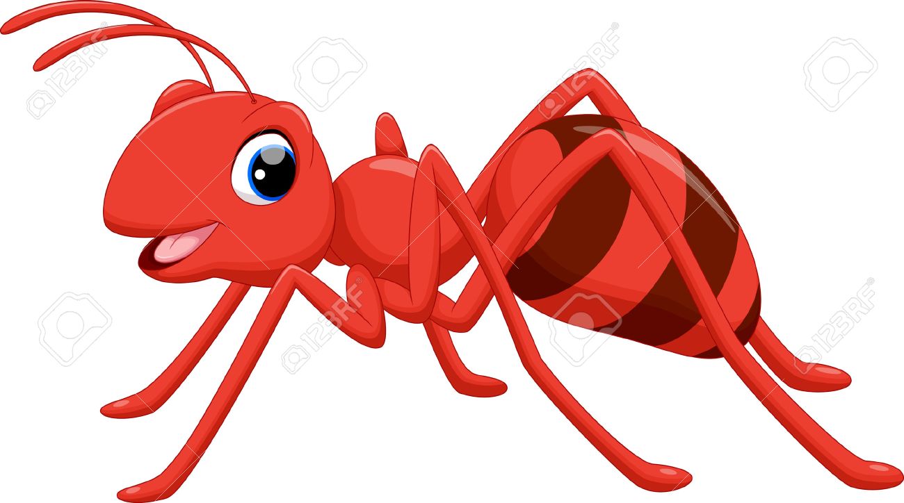 Illustration of ant cartoon on white background - 45141997 Illustration of ant cartoon on white background - 45141997