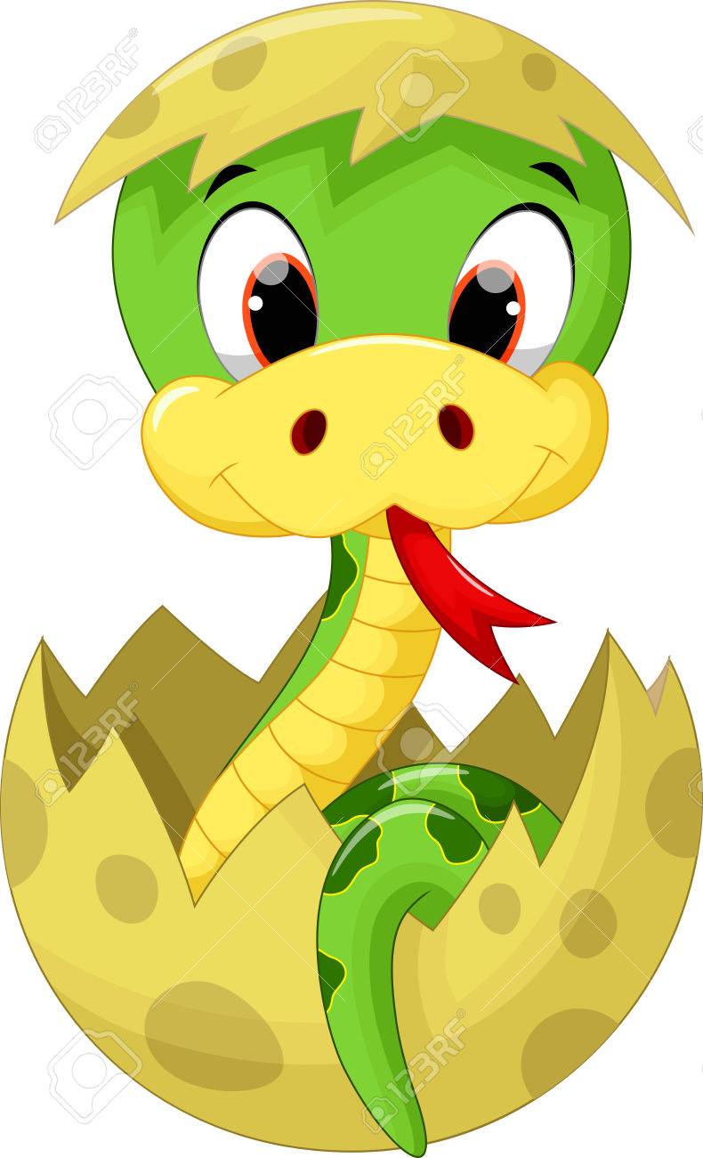 Cute baby snake cartoon - 51794308 Cute baby snake cartoon - 51794308