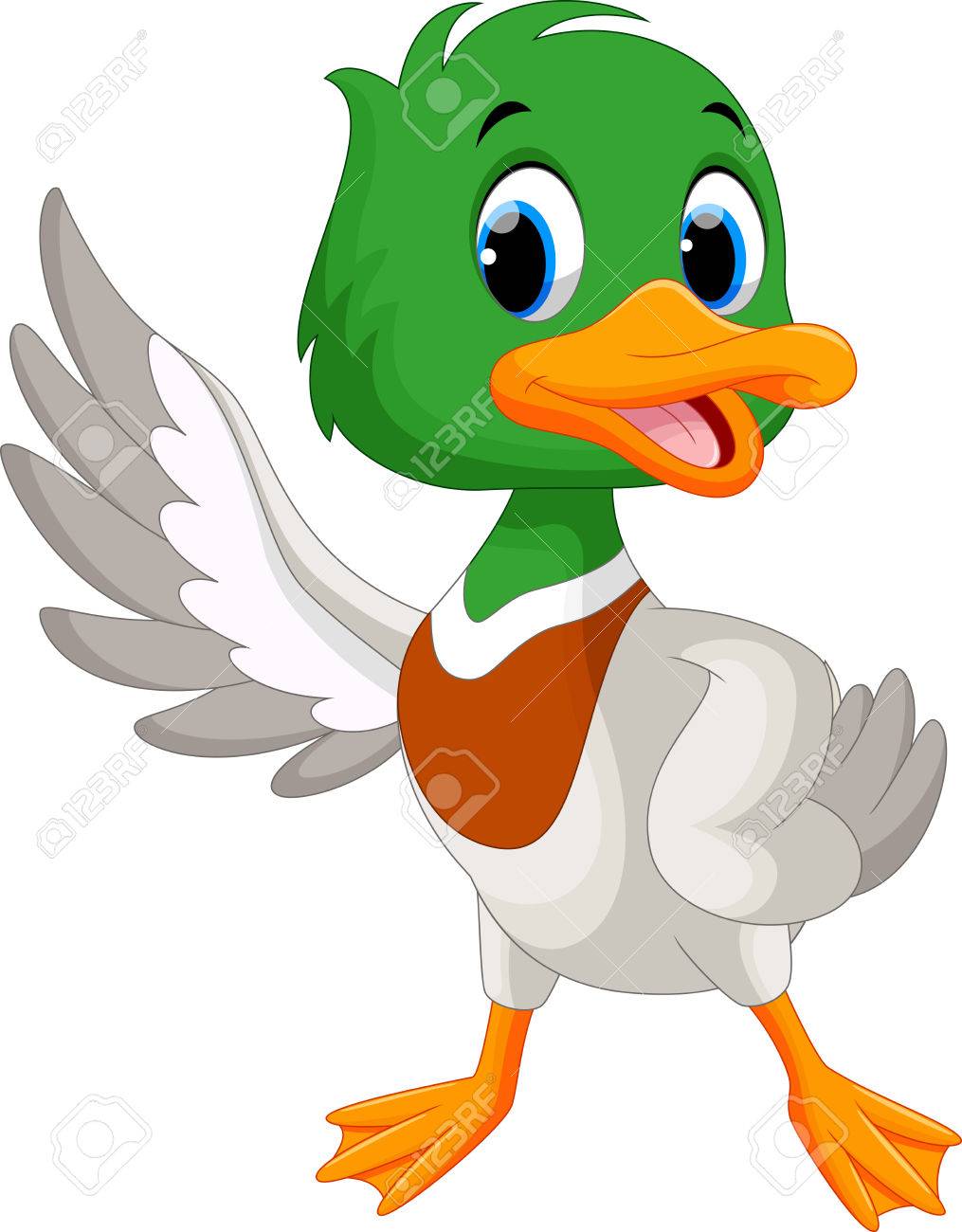 Cute baby duck waving its wings - 55049623 Cute baby duck waving its wings - 55049623