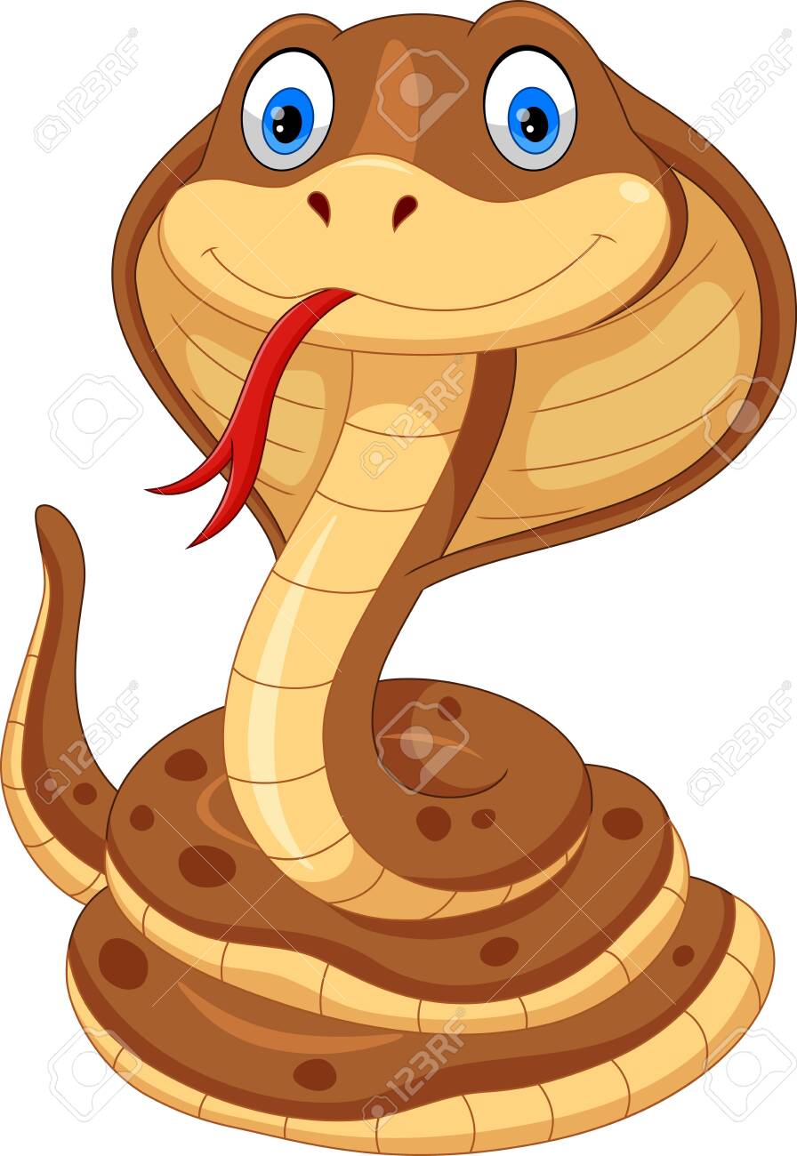 Vector illustration of cobra cartoon is cute and adorable isolated on white background - 123744199 Vector illustration of cobra cartoon is cute and adorable isolated on white background - 123744199