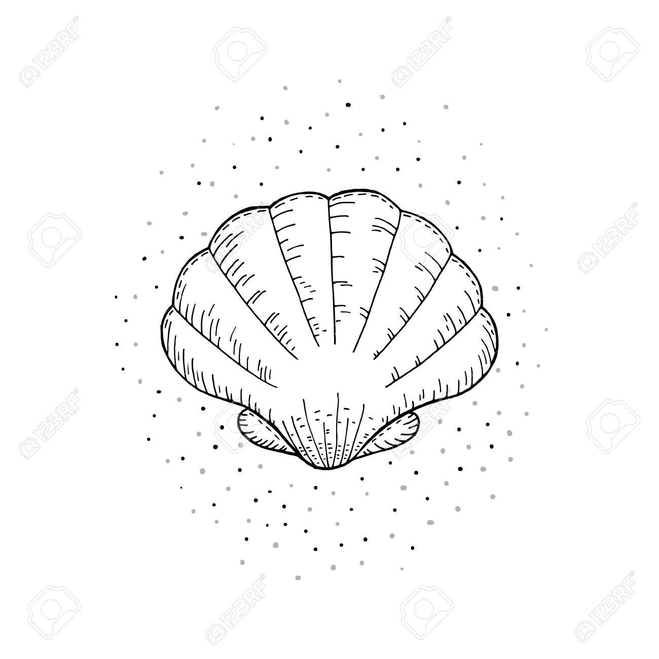 手には 貝殻のベクター イラストが描かれました のイラスト素材 ベクタ Image