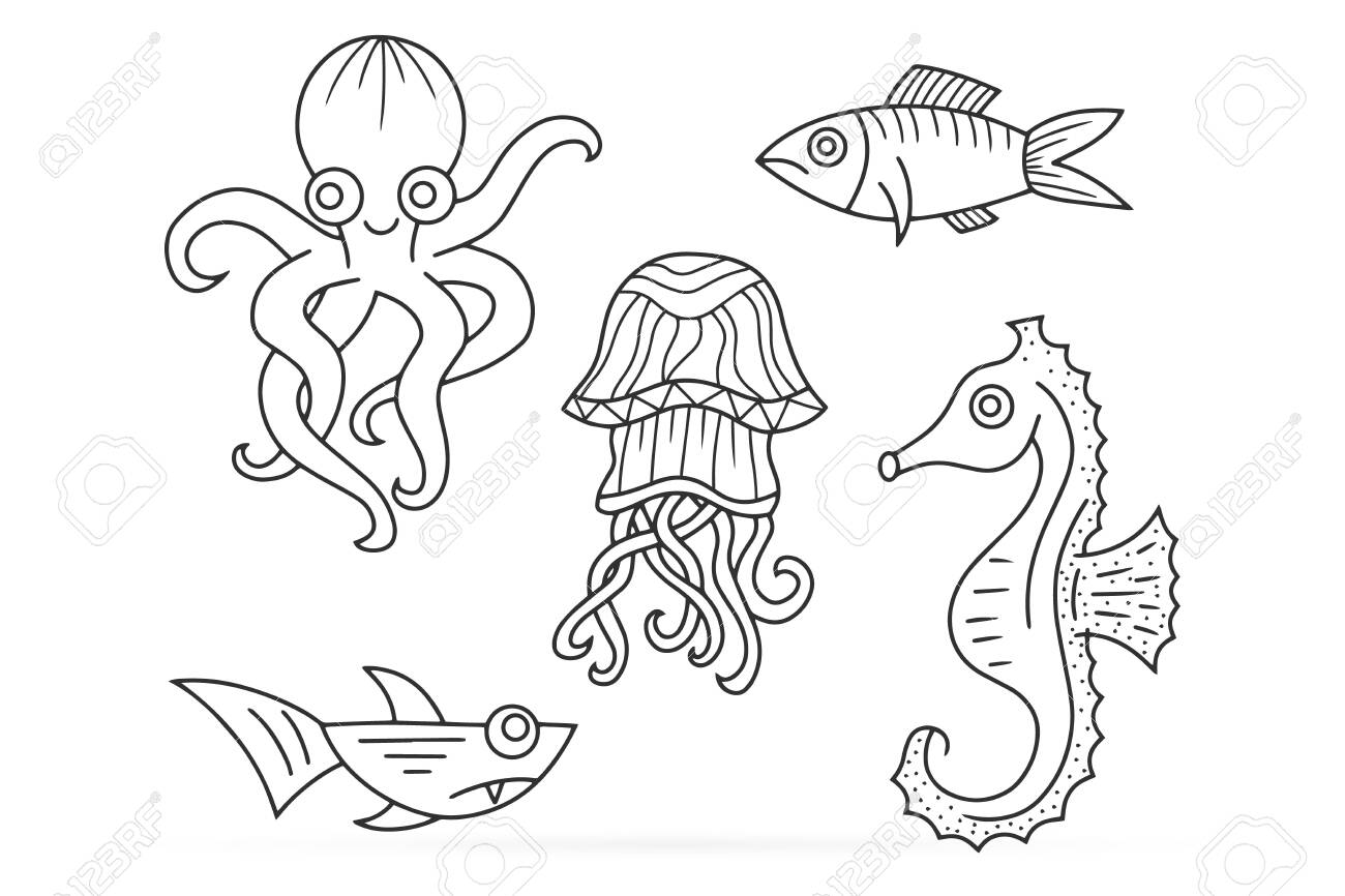 Outline Underwater Animal Isolated On White. Octopus, Shark, Jellyfish,  Fish, Seahorse. Sketch Hand Drawing Art Line. Coloring Page Book. Royalty  Free SVG, Cliparts, Vectors, and Stock Illustration. Image 146753008., image size:1300x866