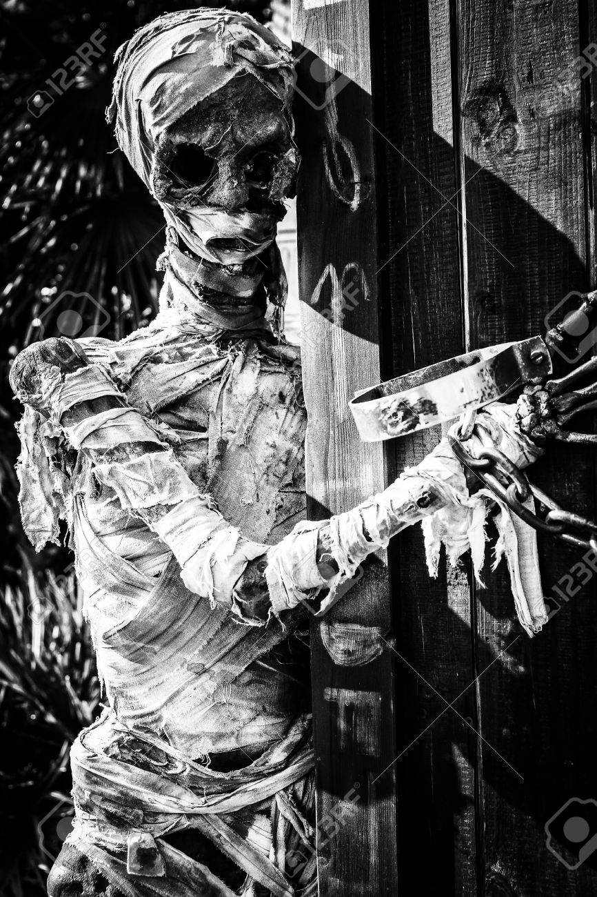 モノクロ ミイラ写真