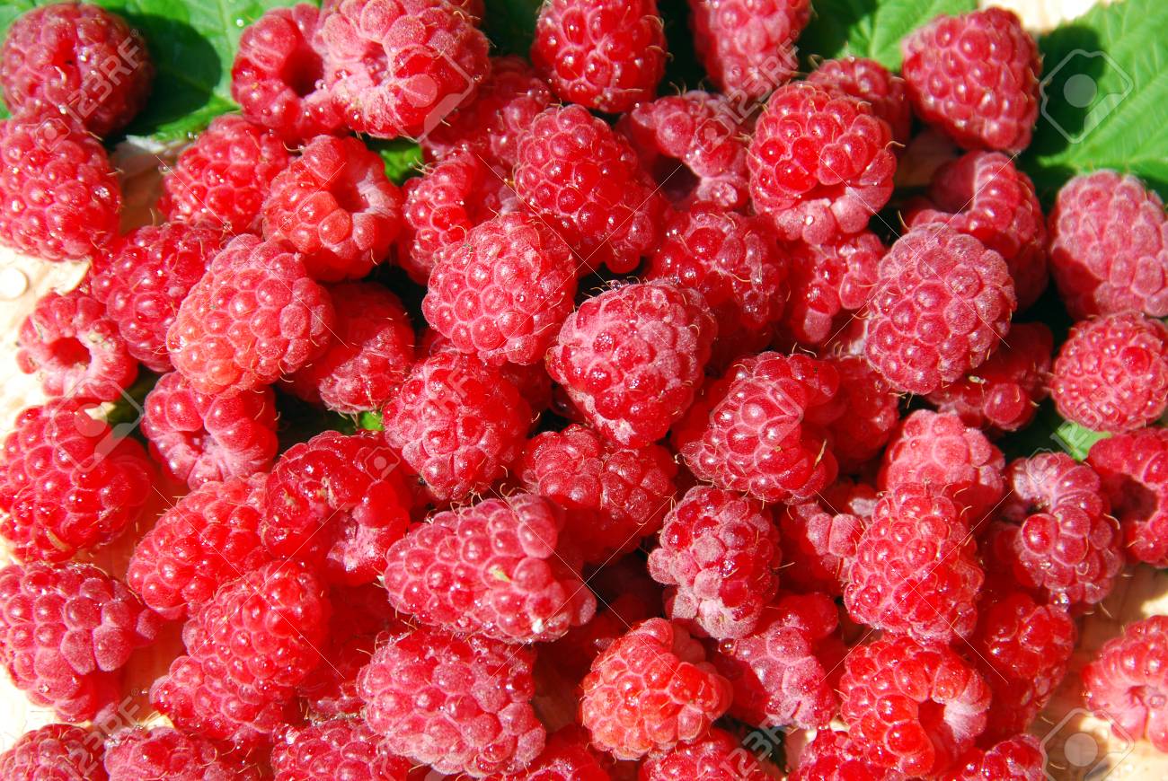 What is useful for raspberries What is useful for raspberries