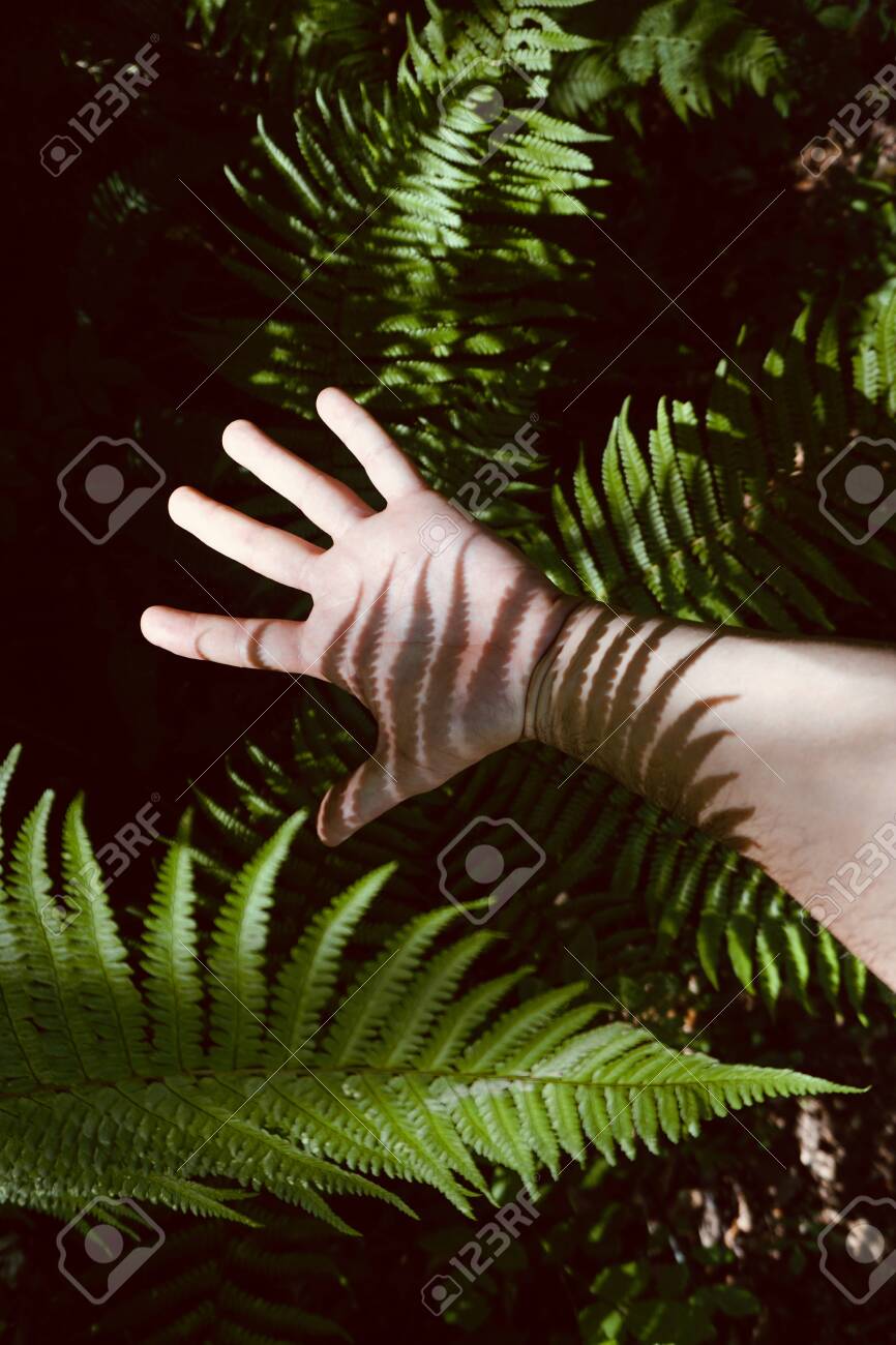 etiam-dictum-ipsum-a-felis