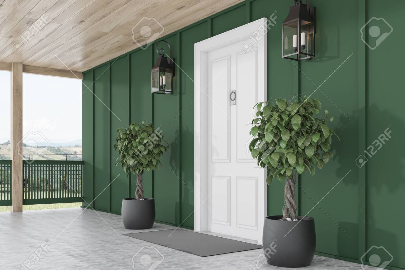 Side View Of Stylish White Front Door Of Modern House With Green