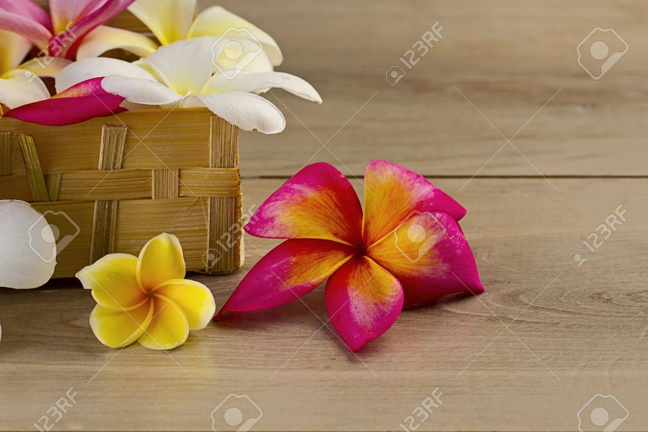 カラフルなバリ島の花 の写真素材 画像素材 Image