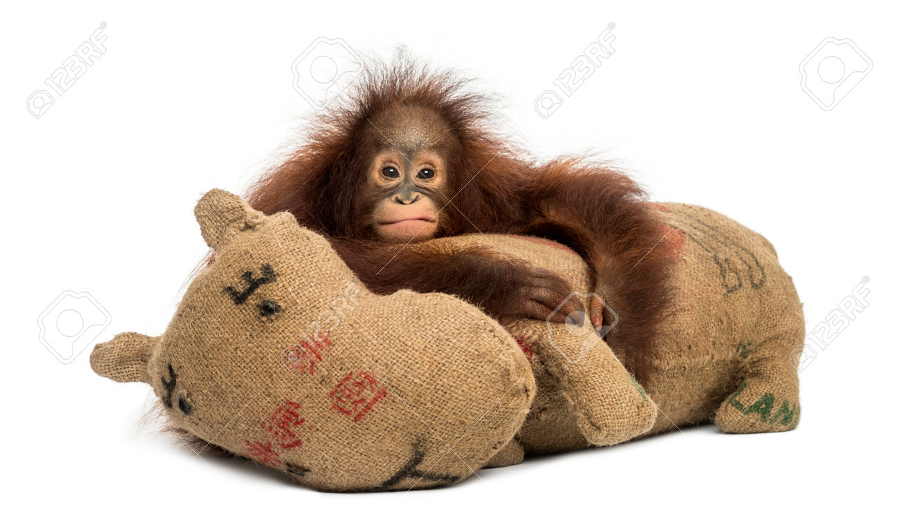 orangutan stuffed toy