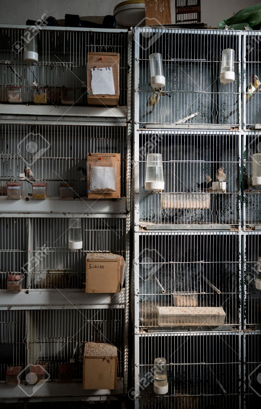 etiam-dictum-ipsum-a-felis