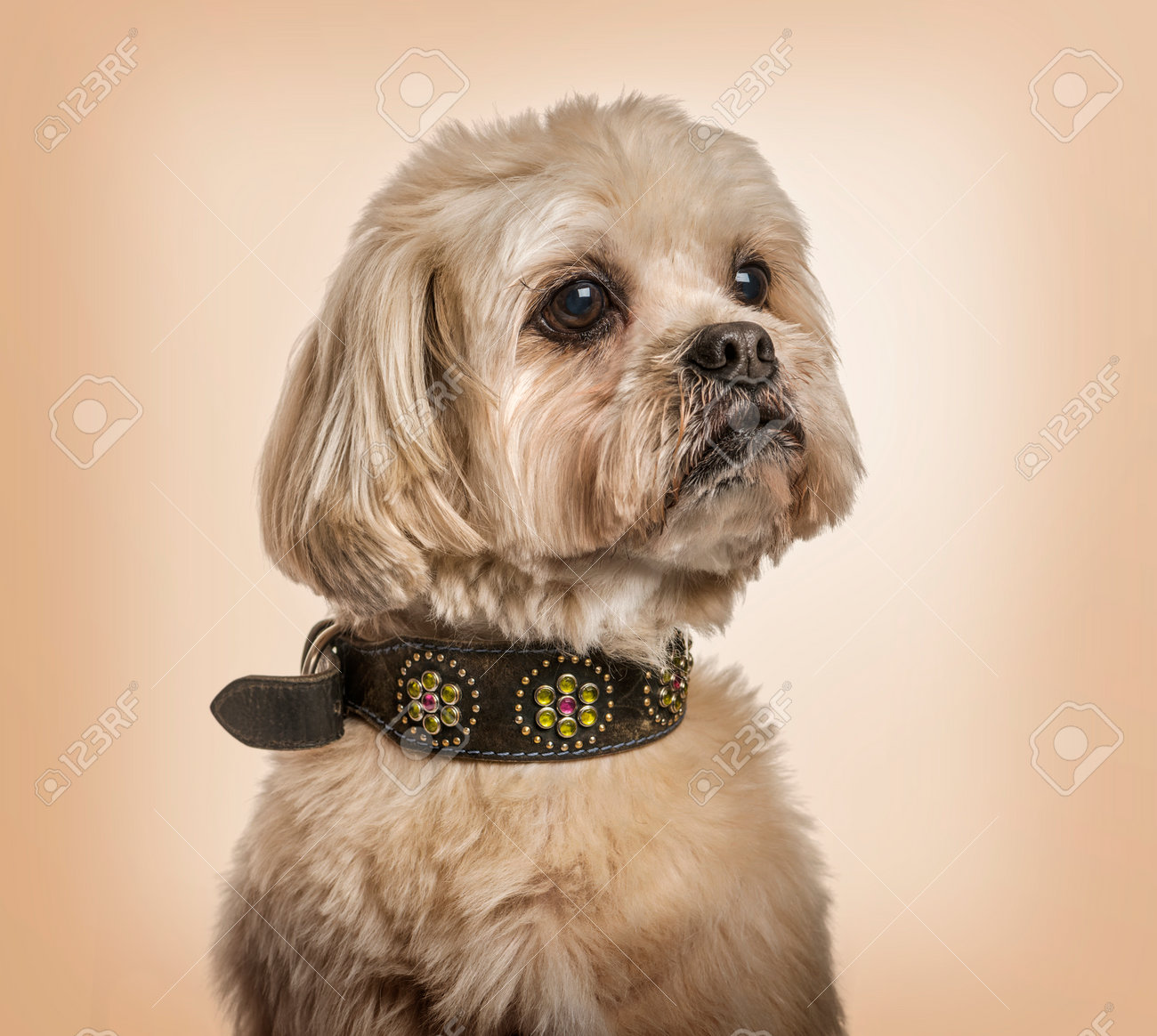 fish tank in bedroom