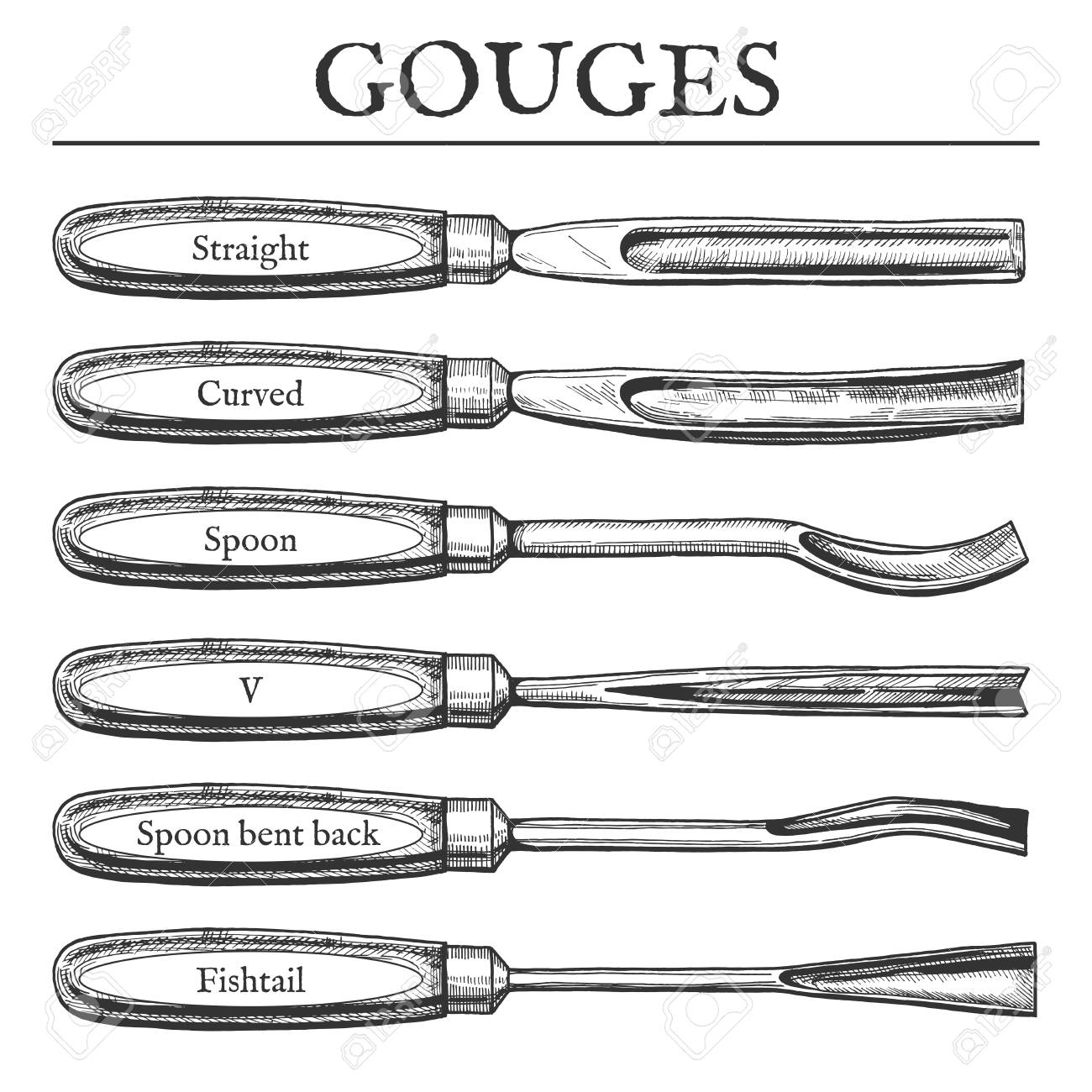 Ilustración De Vector De Tipos De Gubia. Recta, Curva, Cuchara, V, Doblado Hacia Atrás, Cola Pez, Cuchillas De Cola De Pez. De Grabado De La Vendimia Ilustraciones Svg,