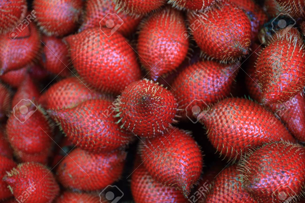 Zalacca 熱帯の甘いフルーツ の写真素材 画像素材 Image
