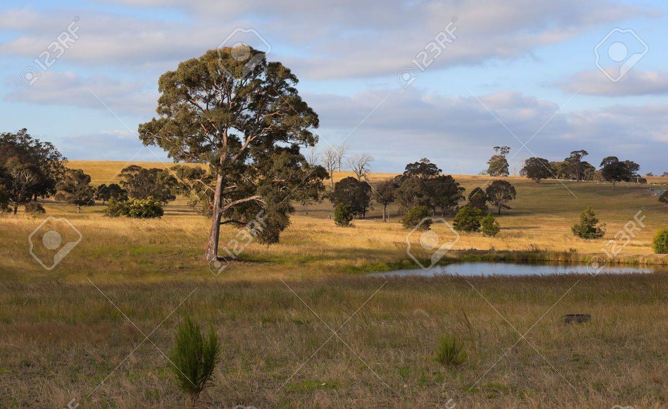 A Rural Landscape Country New South Wales Australia Stock Photo Picture And Royalty Free Image Image 13752419
