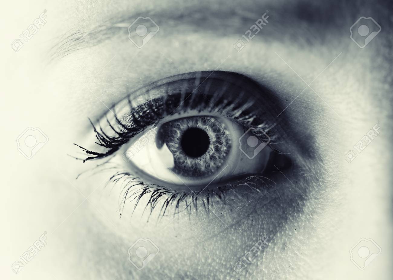 女性の目 モノクロ の写真素材 画像素材 Image
