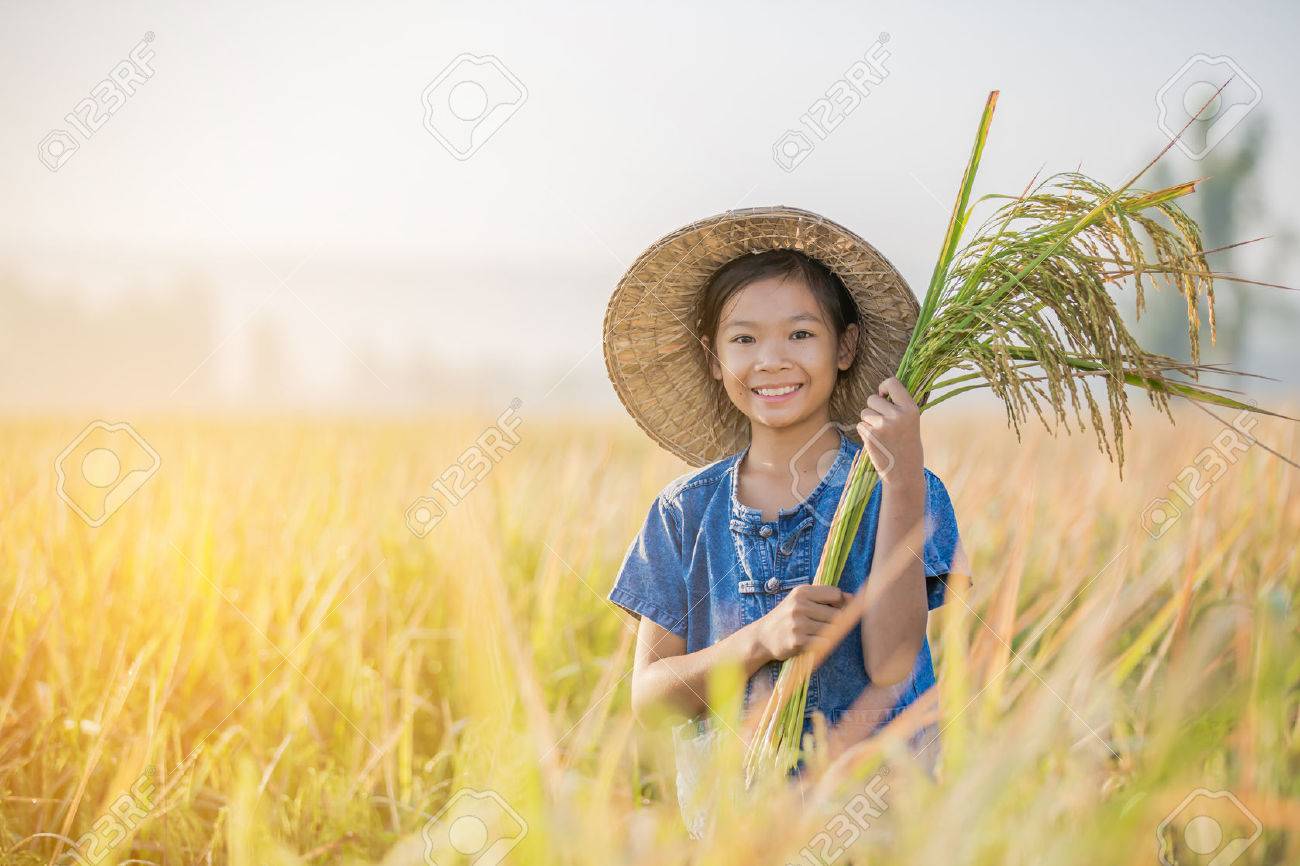 Asian children farmer on yellow rice field in the morning - 65741381 Asian children farmer on yellow rice field in the morning - 65741381