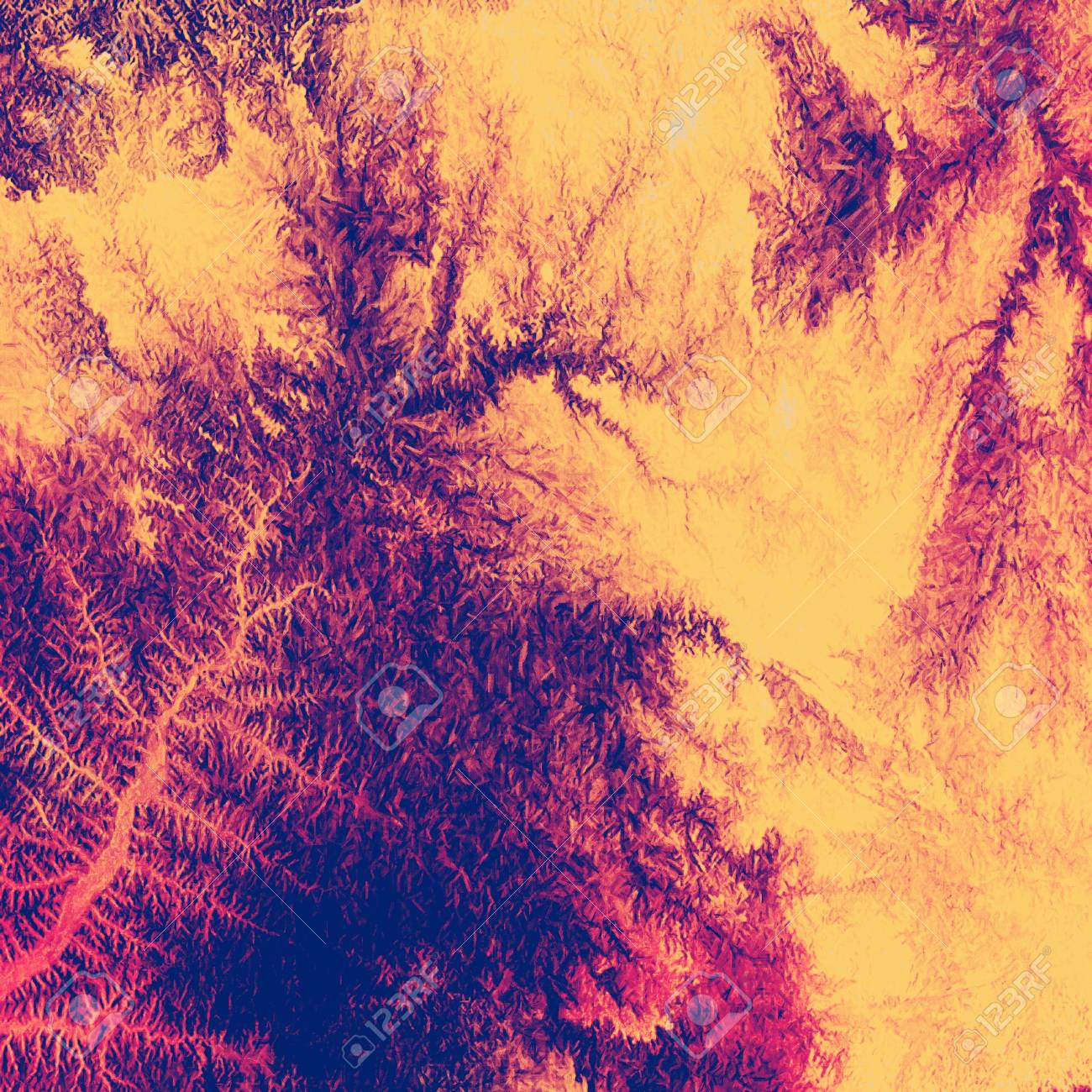 etiam-dictum-ipsum-a-felis